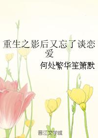 次元马甲系统