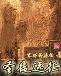 圣徒远征