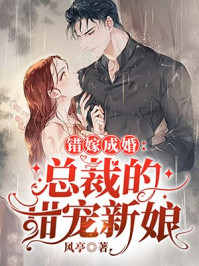 错嫁成婚:总裁的私宠甜妻秦舒褚临沉