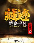 藏迹：绝密手札