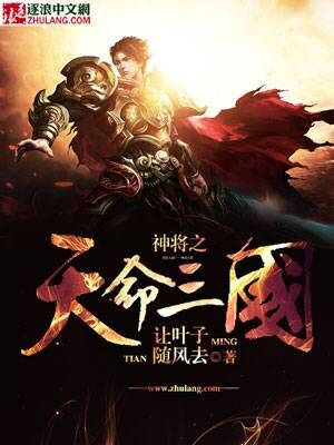 神将之天命三国