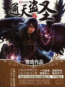 通天盗圣