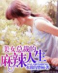美女总裁的麻辣人生