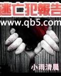 逃亡犯报告