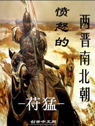 愤怒的两晋南北朝