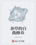 带着星际闯美幻