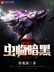 全息海贼时代